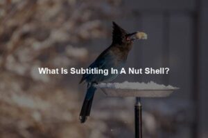 What Is Subtitling In A Nut Shell?