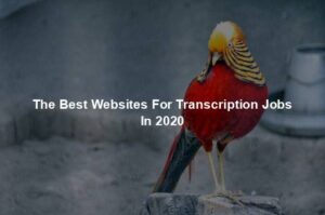 The Best Websites For Transcription Jobs In 2020