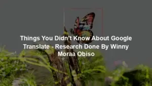 Things You Didn't Know About Google Translate - Research Done By Winny Moraa Obiso
