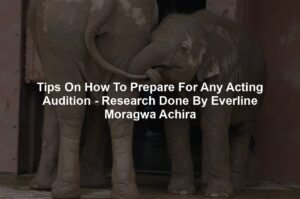 Tips On How To Prepare For Any Acting Audition - Research Done By Everline Moragwa Achira