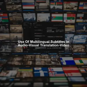 Use Of Multilingual Subtitles In Audio-Visual Translation-Video