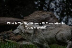 What Is The Significance Of Translation In Today’s World?