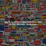 Why Is Good Multilingual Translation Vital For Your Business - Study Notes